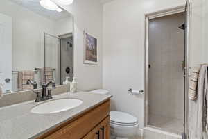 Bathroom featuring vanity, a shower stall, and toilet