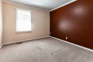 Unfurnished room featuring carpet, visible vents, crown molding, and baseboards