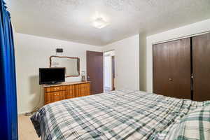 Carpeted bedroom featuring a closet and a textured ceiling