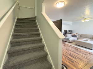 Stairway featuring baseboards, a ceiling fan, and wood finished floors