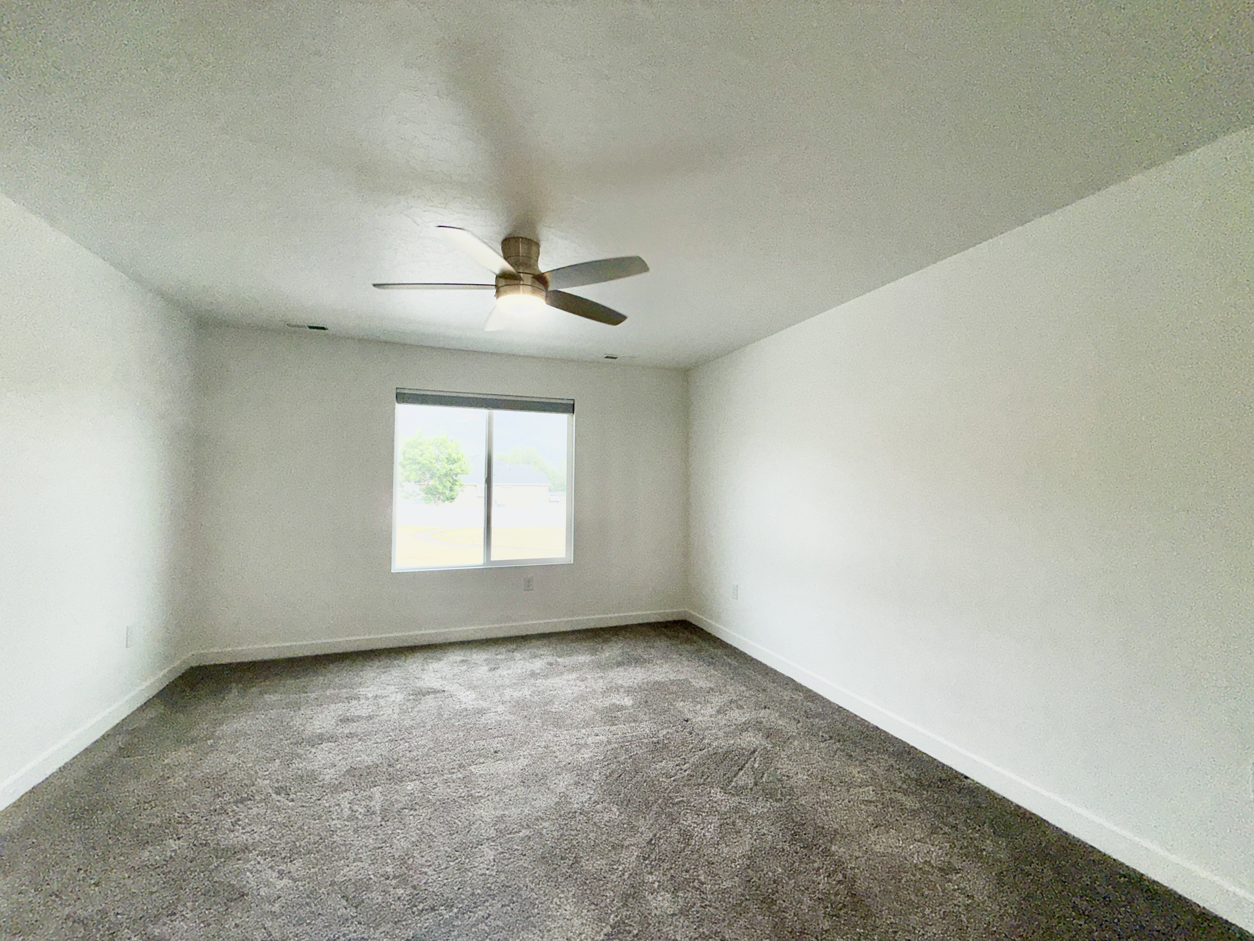 Spacious room featuring neutral carpeting, a large window, white walls, and a ceiling fan with integrated lighting