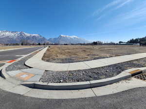 View to the southeast from the northwest corner of lot 4
