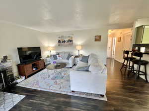 Living room with baseboards, dark wood-type flooring, and crown molding