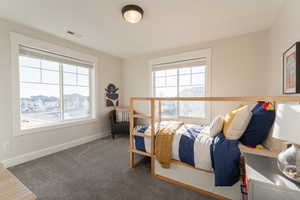 Bedroom 2  featuring multiple windows for ample light, and carpet flooring.