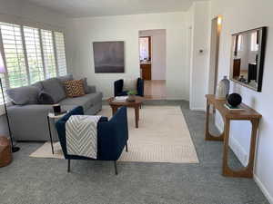 Living area featuring baseboards, carpet, and a wealth of natural light
