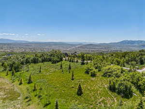 View of mountain background