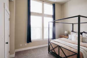 Carpeted bedroom featuring multiple windows