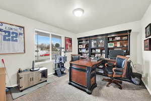 Carpeted home office featuring baseboards and a textured ceiling