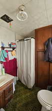 Full bathroom with toilet, vanity, and a shower with shower curtain