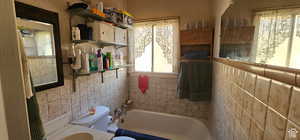 Bathroom with toilet and a washtub