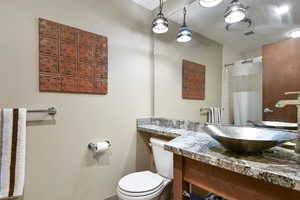 Bathroom featuring toilet, curtained shower, visible vents, and vanity