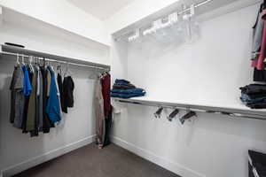 Walk in closet featuring carpet floors