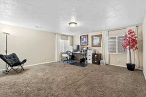 Carpeted 2nd living room featuring visible vents, a textured ceiling, and baseboards