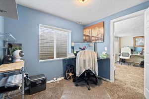 Office space featuring carpet floors, baseboards, and a textured ceiling