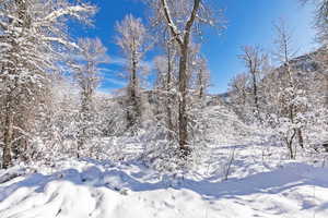 View of snow covered land