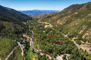 Drone / aerial view featuring a mountain view and a wooded view