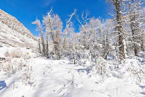 View of snow covered land