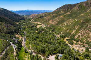 Drone / aerial view featuring a wooded view and a mountain view