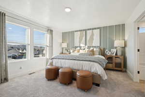 Carpeted bedroom with baseboards and visible vents