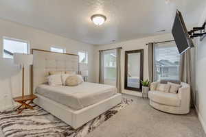 Bedroom featuring baseboards, carpet, visible vents, and a textured ceiling