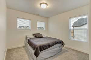 Bedroom with carpet floors, visible vents, and baseboards