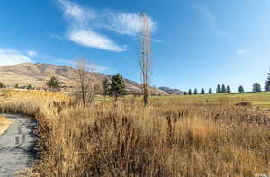 Mountain view featuring a rural view