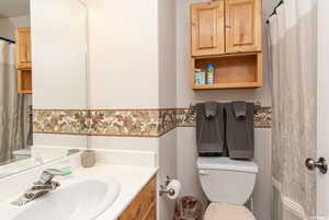 Bathroom with vanity and toilet