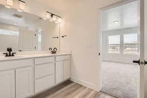 Bathroom with baseboards, double vanity, a sink, and visible vents
