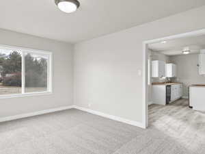 Empty room featuring a textured ceiling, a sink, light colored carpet, and baseboards