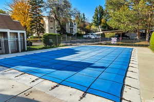 Pool featuring a patio area and fence