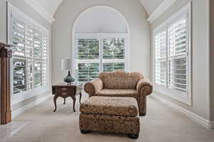 Sitting room with lofted ceiling, carpet, plenty of natural light, and baseboards