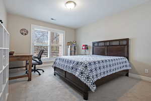 Bedroom with carpet, visible vents, and baseboards