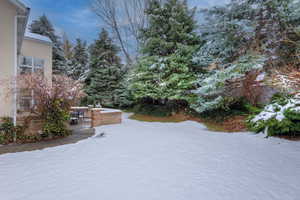 View of yard featuring a patio area