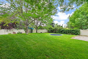 View of yard with a fenced backyard and a trampoline