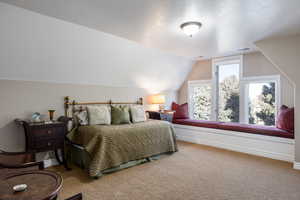 Bedroom with carpet floors, visible vents, baseboards, and lofted ceiling