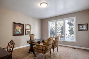 Bedroom or office area with light carpet, visible vents, and baseboards