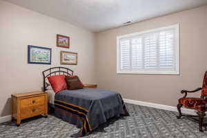 Bedroom with carpet, visible vents, and baseboards