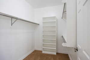 Spacious primary closet with carpet floors X 2