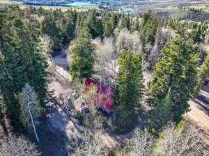 Bird's eye view with a forest view