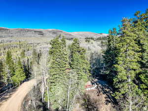 Mountain view with a forest view