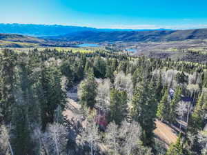 Drone / aerial view with a mountain view and a wooded view