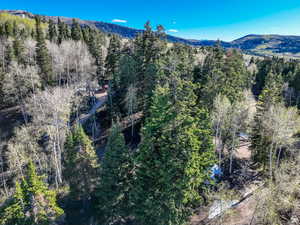 View of mountain feature with a wooded view