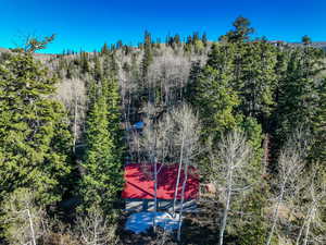 Drone / aerial view with a forest view