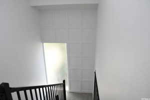 Stairs with carpet and a decorative wall