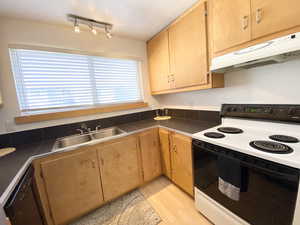 Kitchen featuring light wood-style floors, electric stove, dishwasher, under cabinet range hood, and a sink