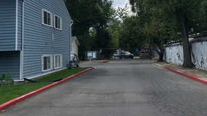 View of street with curbs