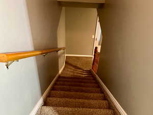 Stairs featuring carpet floors and baseboards