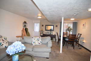 Downstairs living room.