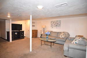 Basement mother-in-law Living room with carpet flooring.