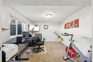 Carpeted office featuring baseboards and a textured ceiling